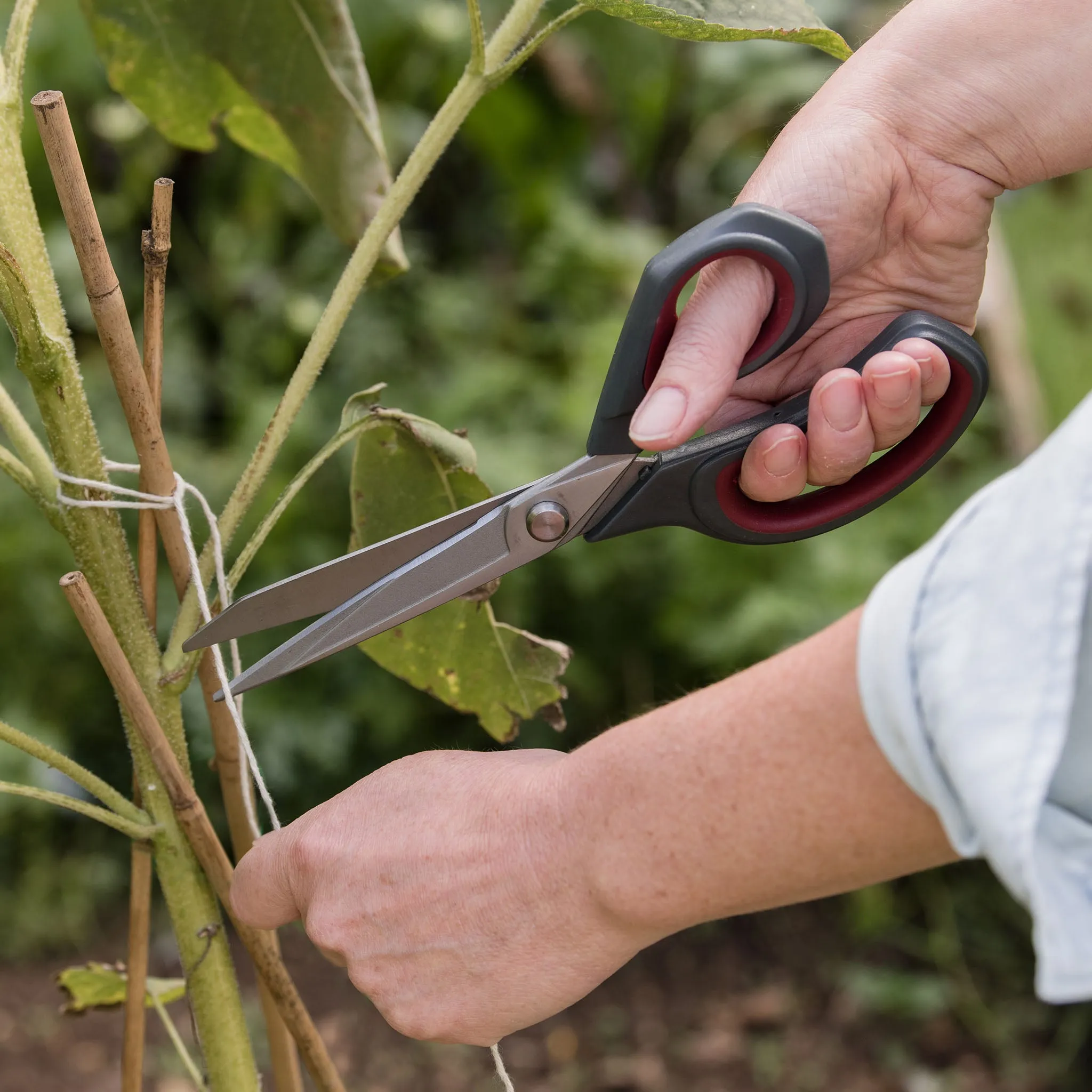 Kent & Stowe Garden Scissors